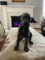 processed/239f7414-8ba5-4bc4-8a33-832fde52bd6a/listing/77b1e594-aea0-4926-bcb5-4dc62ce2e564/99f059f4-be27-46f4-a701-3c961af54811