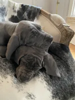 processed/239f7414-8ba5-4bc4-8a33-832fde52bd6a/listing/77b1e594-aea0-4926-bcb5-4dc62ce2e564/cb815ada-9921-480b-8c1b-40101266f845