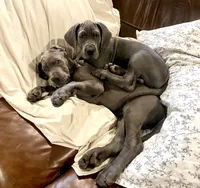 processed/239f7414-8ba5-4bc4-8a33-832fde52bd6a/listing/77b1e594-aea0-4926-bcb5-4dc62ce2e564/dca035bd-e038-4be2-b361-3bec64af0764