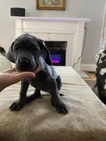 processed/239f7414-8ba5-4bc4-8a33-832fde52bd6a/listing/77b1e594-aea0-4926-bcb5-4dc62ce2e564/ef76e3e8-377c-49a4-93f0-8b8547ec98dc