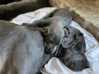 processed/239f7414-8ba5-4bc4-8a33-832fde52bd6a/listing/cec92332-4167-4ae8-88fb-f5897d99a997/30457c5b-62d5-46f6-9be5-77ffd690b401