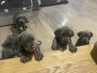 processed/239f7414-8ba5-4bc4-8a33-832fde52bd6a/listing/cec92332-4167-4ae8-88fb-f5897d99a997/81a2a8f1-b532-41e2-9a28-93c36795f4b8