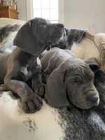 processed/239f7414-8ba5-4bc4-8a33-832fde52bd6a/listing/cec92332-4167-4ae8-88fb-f5897d99a997/e5bb1ff9-b442-4caa-968d-dcb26ec5713b