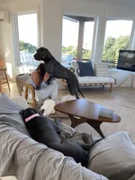 processed/239f7414-8ba5-4bc4-8a33-832fde52bd6a/listing/cec92332-4167-4ae8-88fb-f5897d99a997/f77b500e-0bcc-415b-a3f7-796aa3d814ad