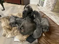 processed/239f7414-8ba5-4bc4-8a33-832fde52bd6a/listing/d4385b2b-8552-46c2-8231-01071f1d8c76/0fba348a-91d4-4b55-91c8-0e22b9954852