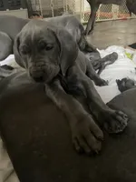 processed/239f7414-8ba5-4bc4-8a33-832fde52bd6a/listing/d4385b2b-8552-46c2-8231-01071f1d8c76/ac773203-d2dd-46d3-b126-5506b3837981