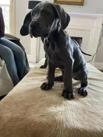 processed/239f7414-8ba5-4bc4-8a33-832fde52bd6a/listing/d4385b2b-8552-46c2-8231-01071f1d8c76/e892976d-92a6-4fa4-8bd4-5b2d091a398f