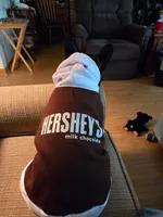 Hershey, a male French Bulldog for sale in Newfane, NY – 3 of 3