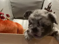 processed/23a0e337-68d8-4c4c-952b-dea637f2d2d3/listing/f44c07b1-c3af-4c86-b7f7-8e9e8a6ec7d2/49bd490d-d15c-474d-984d-1962876e4b71