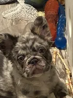 processed/23a0e337-68d8-4c4c-952b-dea637f2d2d3/listing/f44c07b1-c3af-4c86-b7f7-8e9e8a6ec7d2/636f5f69-9cfa-4552-82f4-60f50ff3f526