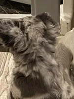 processed/23a0e337-68d8-4c4c-952b-dea637f2d2d3/listing/f44c07b1-c3af-4c86-b7f7-8e9e8a6ec7d2/6d14cbf6-c064-40a6-8933-711bfcf2671b