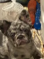 processed/23a0e337-68d8-4c4c-952b-dea637f2d2d3/listing/f44c07b1-c3af-4c86-b7f7-8e9e8a6ec7d2/7b58897e-dc33-4c89-83ca-841dd526021f