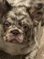 processed/23a0e337-68d8-4c4c-952b-dea637f2d2d3/listing/f44c07b1-c3af-4c86-b7f7-8e9e8a6ec7d2/82c1ee2a-e001-4785-9e1b-a8ca7a701914