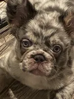 processed/23a0e337-68d8-4c4c-952b-dea637f2d2d3/listing/f44c07b1-c3af-4c86-b7f7-8e9e8a6ec7d2/8f4f70a7-c584-4133-9954-3e9b352bfa73