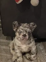 processed/23a0e337-68d8-4c4c-952b-dea637f2d2d3/listing/f44c07b1-c3af-4c86-b7f7-8e9e8a6ec7d2/bd2dba94-e648-4ed7-b848-bfd65702d26d