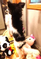 processed/23a61874-fe10-41a4-ae53-346db6aa4d3b/listing/08bae304-ec30-4c91-b61c-d2eb82b90c05/0c601279-4435-4650-a5cf-7f51cf9a547a