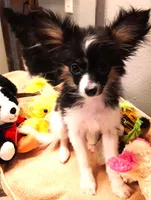 processed/23a61874-fe10-41a4-ae53-346db6aa4d3b/listing/08bae304-ec30-4c91-b61c-d2eb82b90c05/1e5649c9-60e9-469e-86cb-989025f10a84