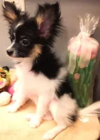 processed/23a61874-fe10-41a4-ae53-346db6aa4d3b/listing/08bae304-ec30-4c91-b61c-d2eb82b90c05/58add3a3-d1fe-4f6f-b13b-a29543c1b7bd