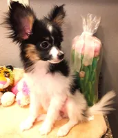 processed/23a61874-fe10-41a4-ae53-346db6aa4d3b/listing/08bae304-ec30-4c91-b61c-d2eb82b90c05/5e048676-3599-475d-81c6-53c34013128e