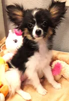 processed/23a61874-fe10-41a4-ae53-346db6aa4d3b/listing/08bae304-ec30-4c91-b61c-d2eb82b90c05/73620dd0-686b-4573-a3e9-db818286df85