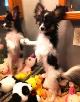 processed/23a61874-fe10-41a4-ae53-346db6aa4d3b/listing/08bae304-ec30-4c91-b61c-d2eb82b90c05/855d32c9-5e36-4b72-9558-95c6d49bec3e