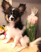 processed/23a61874-fe10-41a4-ae53-346db6aa4d3b/listing/08bae304-ec30-4c91-b61c-d2eb82b90c05/b062d17c-d2ce-4990-a892-5bf42b30bc83