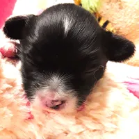 processed/23a61874-fe10-41a4-ae53-346db6aa4d3b/listing/14182a8e-920a-4f56-8e38-97e0a601b2ca/defcba03-bd7c-4d56-a301-5da3f451e2dc