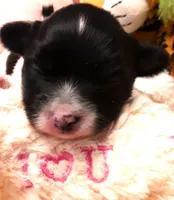 processed/23a61874-fe10-41a4-ae53-346db6aa4d3b/listing/14182a8e-920a-4f56-8e38-97e0a601b2ca/f611b7b3-731f-404e-87be-6d7800051d29