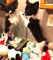 processed/23a61874-fe10-41a4-ae53-346db6aa4d3b/listing/3fd30210-de59-4915-9ac5-5b031f59d36a/17147a7e-e36b-41c2-817c-cd666c1a02ab