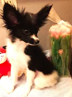 processed/23a61874-fe10-41a4-ae53-346db6aa4d3b/listing/3fd30210-de59-4915-9ac5-5b031f59d36a/2d386394-d591-4910-93c2-82ff7f270cc2