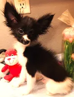 processed/23a61874-fe10-41a4-ae53-346db6aa4d3b/listing/3fd30210-de59-4915-9ac5-5b031f59d36a/789defce-8be3-4453-a604-9de88fd44af1