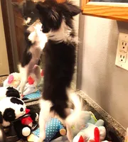 processed/23a61874-fe10-41a4-ae53-346db6aa4d3b/listing/3fd30210-de59-4915-9ac5-5b031f59d36a/9e9548d2-b738-456e-bbaf-a9b466a4d0ae