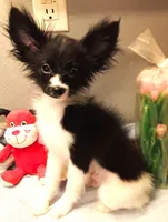 processed/23a61874-fe10-41a4-ae53-346db6aa4d3b/listing/3fd30210-de59-4915-9ac5-5b031f59d36a/b4dafd54-85e2-45c7-99dd-9af3df40ecb1