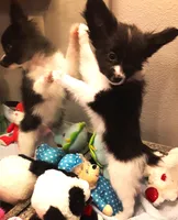 processed/23a61874-fe10-41a4-ae53-346db6aa4d3b/listing/3fd30210-de59-4915-9ac5-5b031f59d36a/ef3f1495-735a-4ce5-8c77-40f8bf8e4e0e