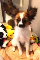 processed/23a61874-fe10-41a4-ae53-346db6aa4d3b/listing/7464acf7-119a-47a1-8862-914fd54657a8/05804b70-2634-4a20-95f7-4dc858cf0a6d