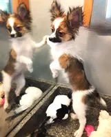 processed/23a61874-fe10-41a4-ae53-346db6aa4d3b/listing/7464acf7-119a-47a1-8862-914fd54657a8/8cb216a7-4af5-45aa-be20-662097848d48