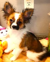 processed/23a61874-fe10-41a4-ae53-346db6aa4d3b/listing/7464acf7-119a-47a1-8862-914fd54657a8/9184662d-839e-4dca-a201-f2970a08c6e2