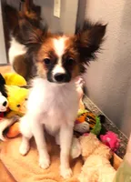 processed/23a61874-fe10-41a4-ae53-346db6aa4d3b/listing/7464acf7-119a-47a1-8862-914fd54657a8/b1c9b53c-f2da-4921-8c6b-9f659ce2b593