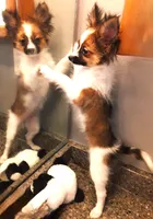 processed/23a61874-fe10-41a4-ae53-346db6aa4d3b/listing/7464acf7-119a-47a1-8862-914fd54657a8/db84ffac-6a4a-43ca-a47d-89b0f64541be