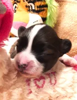 processed/23a61874-fe10-41a4-ae53-346db6aa4d3b/listing/bb138ce6-2e7c-4563-a2e3-290edebd1c84/1b5af1a2-f186-4b99-8dfc-83a09136ce0c