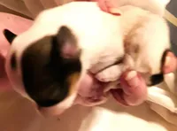 processed/23a61874-fe10-41a4-ae53-346db6aa4d3b/listing/de04ca4b-f794-4970-8f2c-1ee27b1ffa9e/06f93536-0c69-4a2b-9c3c-79cb54e90f4f