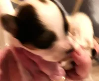 processed/23a61874-fe10-41a4-ae53-346db6aa4d3b/listing/de04ca4b-f794-4970-8f2c-1ee27b1ffa9e/177a1769-fb63-49f1-babf-e29c6beb1687