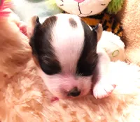 processed/23a61874-fe10-41a4-ae53-346db6aa4d3b/listing/de04ca4b-f794-4970-8f2c-1ee27b1ffa9e/1d6c293a-a844-4419-b4cd-6f43358afa0c