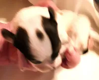 processed/23a61874-fe10-41a4-ae53-346db6aa4d3b/listing/de04ca4b-f794-4970-8f2c-1ee27b1ffa9e/80cedbf9-649d-42d1-a30a-96c024a0dd6e