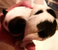 processed/23a61874-fe10-41a4-ae53-346db6aa4d3b/listing/de04ca4b-f794-4970-8f2c-1ee27b1ffa9e/82cbefed-6f4e-4a64-96d5-3b5b805c7159