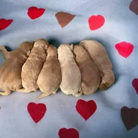 processed/23aac20b-d4ec-41bc-8813-e4ed94cc0605/facility/039950eb-8cb4-4af9-86a7-033fcc77e830