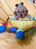 processed/23aac20b-d4ec-41bc-8813-e4ed94cc0605/facility/a98f434f-1049-4f0f-9072-f14af1ac27e6