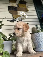 processed/23aac20b-d4ec-41bc-8813-e4ed94cc0605/facility/b9aca035-8cd4-4a49-a80e-e7737280acb6