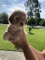 processed/23aac20b-d4ec-41bc-8813-e4ed94cc0605/facility/e755eca5-b16b-458f-bd28-1180d2b26c5d