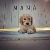 processed/23b719db-517d-4255-b9cc-a01df090a5d0/facility/46b28230-4731-4a4f-8d96-8b64308a3359